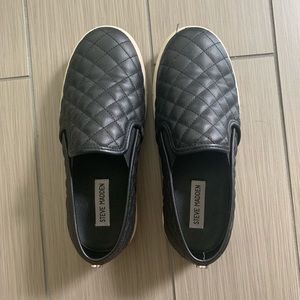 Steve Madden Sneakers